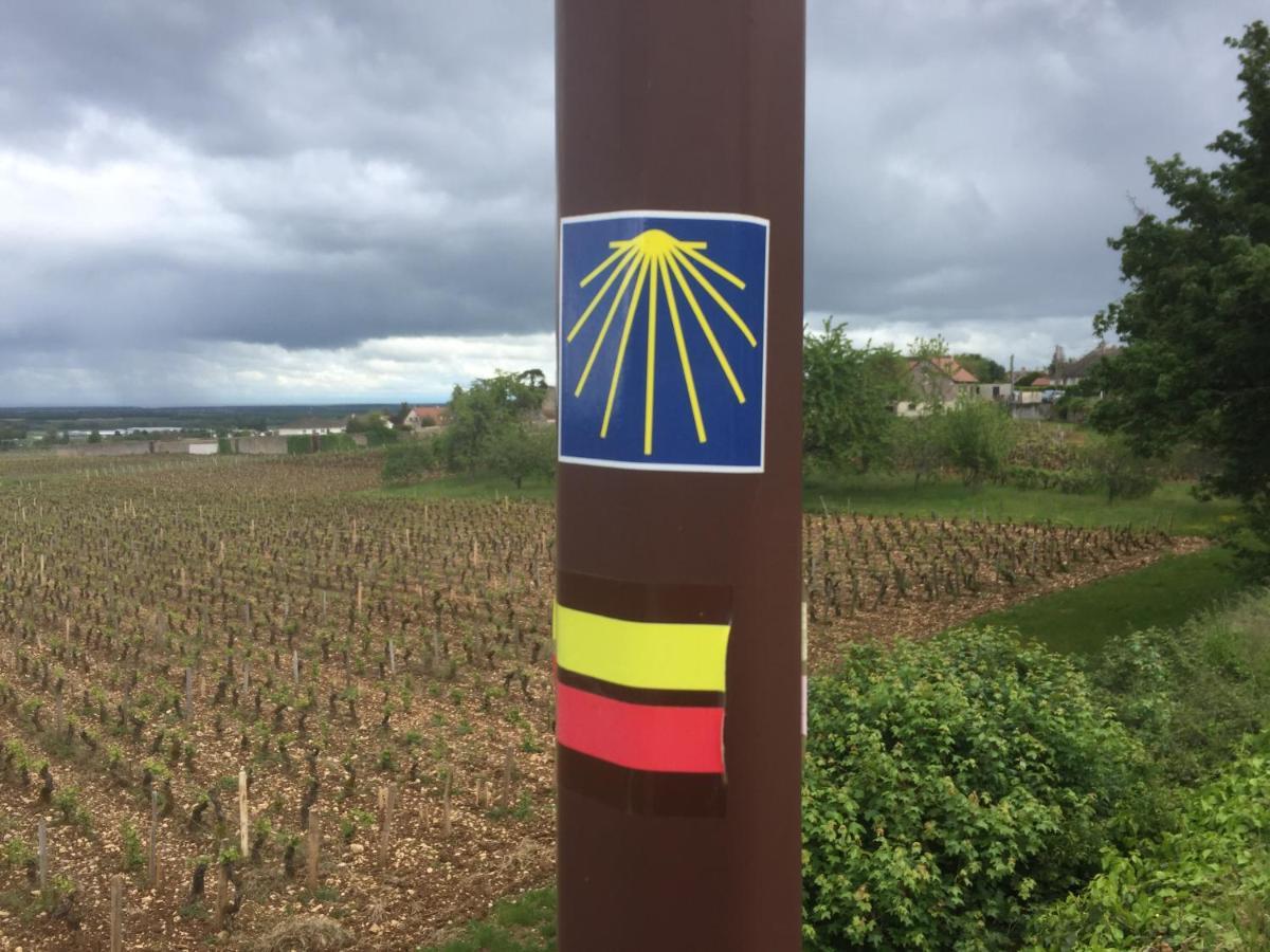 Les Hauts De Fixin, 50M2 Avec Exterieur Sur La Route Des Grands Crus, Dijon Sud Exteriör bild